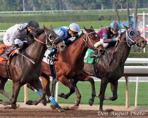 reddit horse racing